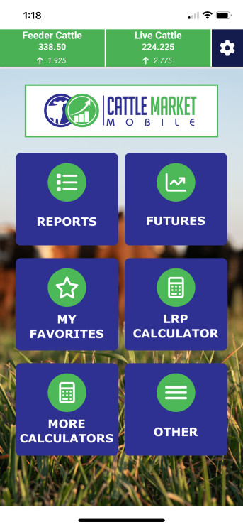 Cattle Market Mobile app showing market reports and cattle prices