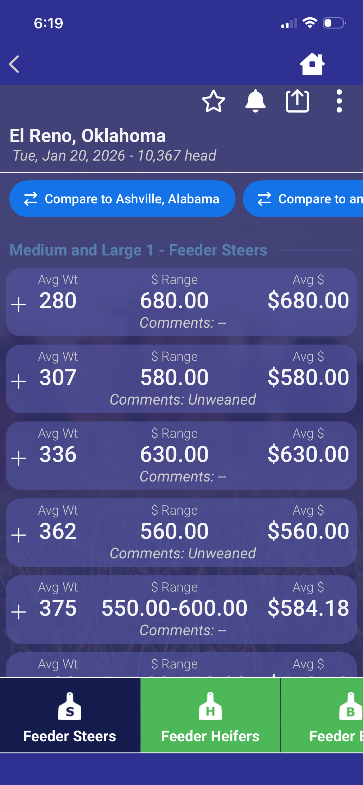 Market Reports Screenshot